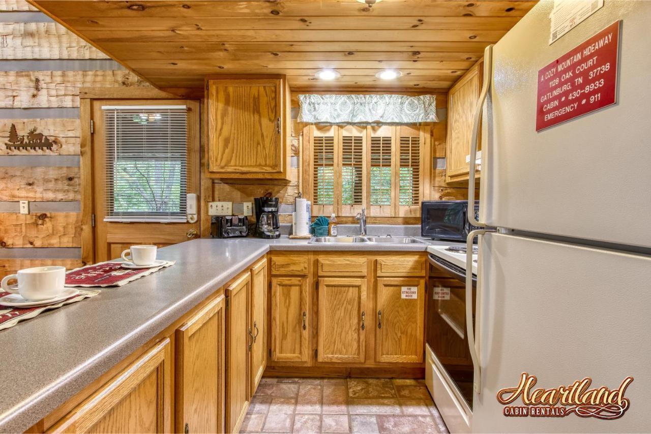 Villa Cozy Mountain Hideaway à Gatlinburg Extérieur photo
